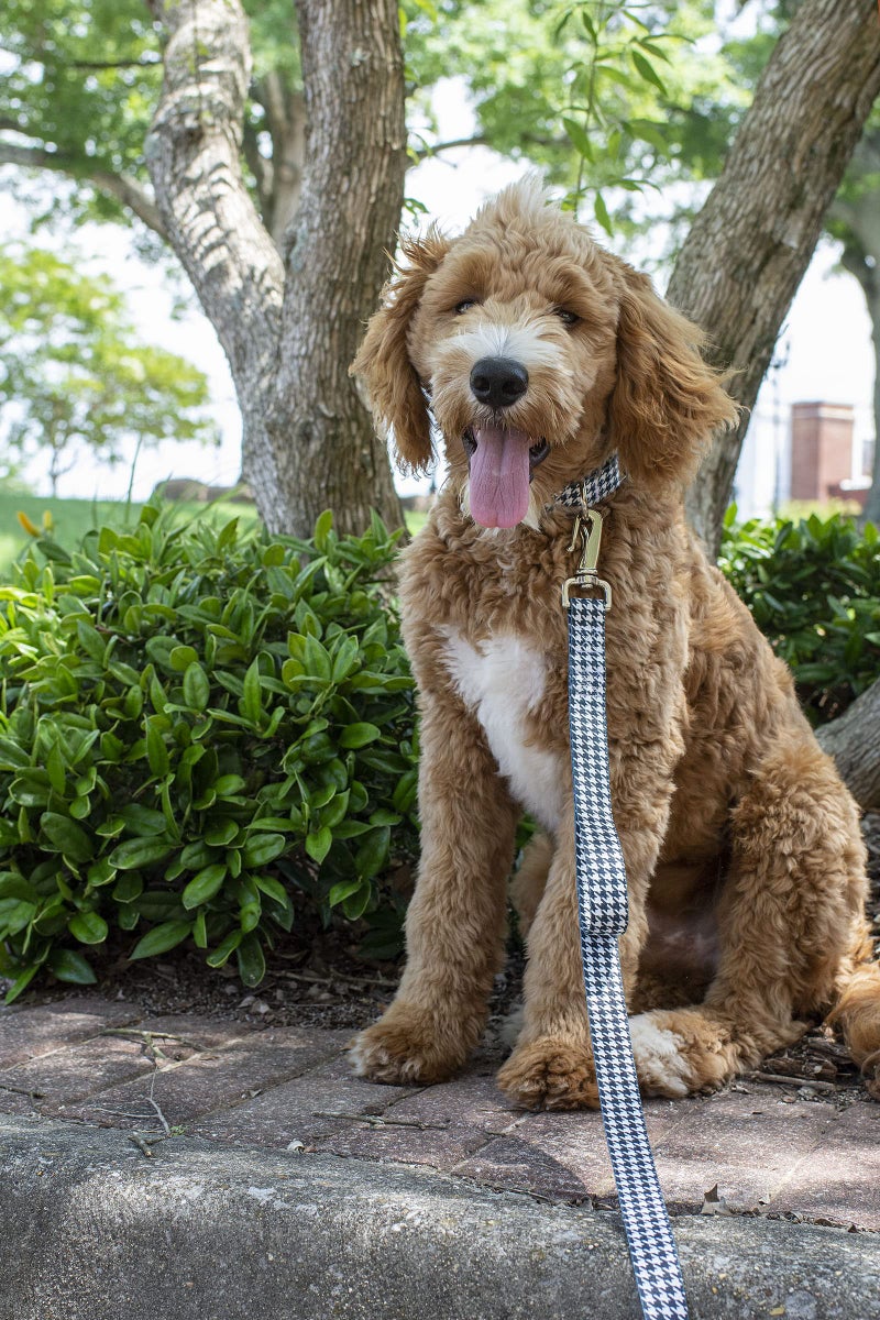 Country Brook Design Country Brook Petz - Deluxe Houndstooth Dog Collar - Made in The U.S.A. - Sports and Athletics Collection Featuring Spirited Designs (1 Inch, Large) - Image 2